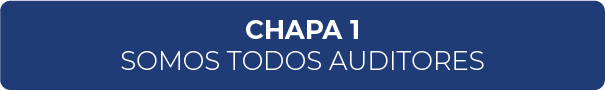 Chapa 1 - Somos Todos Auditores